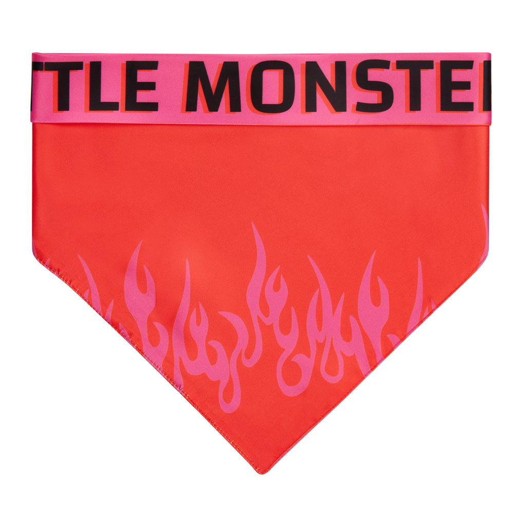 LM Fire  Köpek Bandana - 3