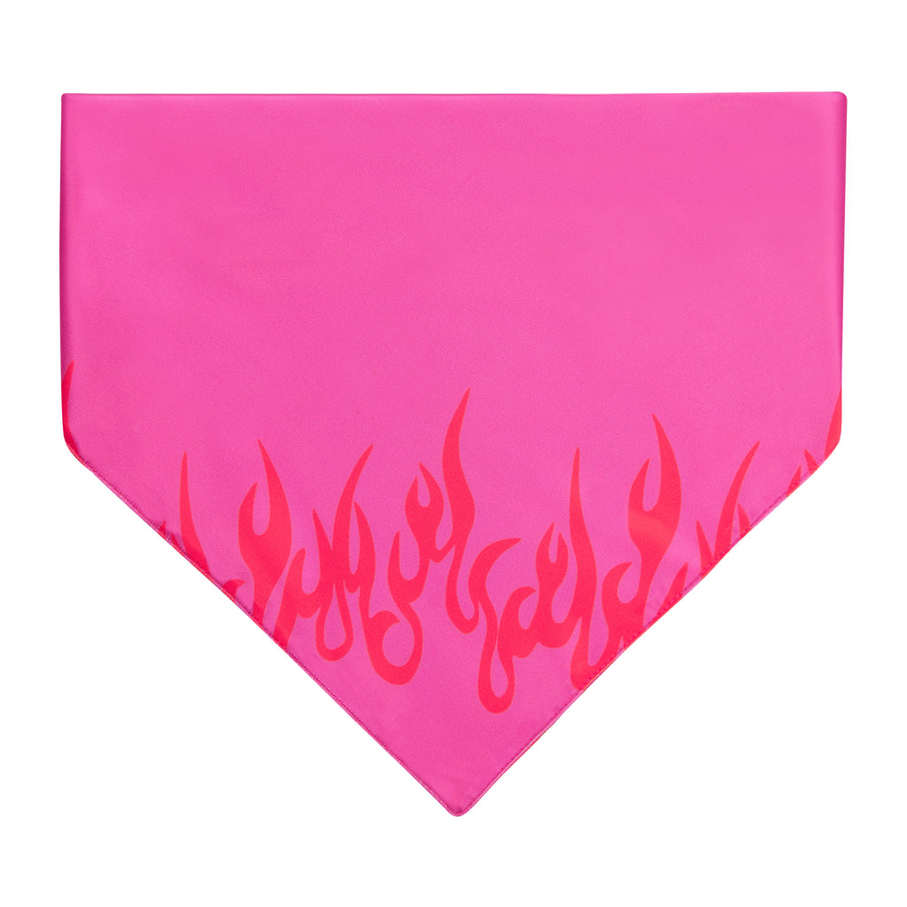 LM Fire  Köpek Bandana - 4